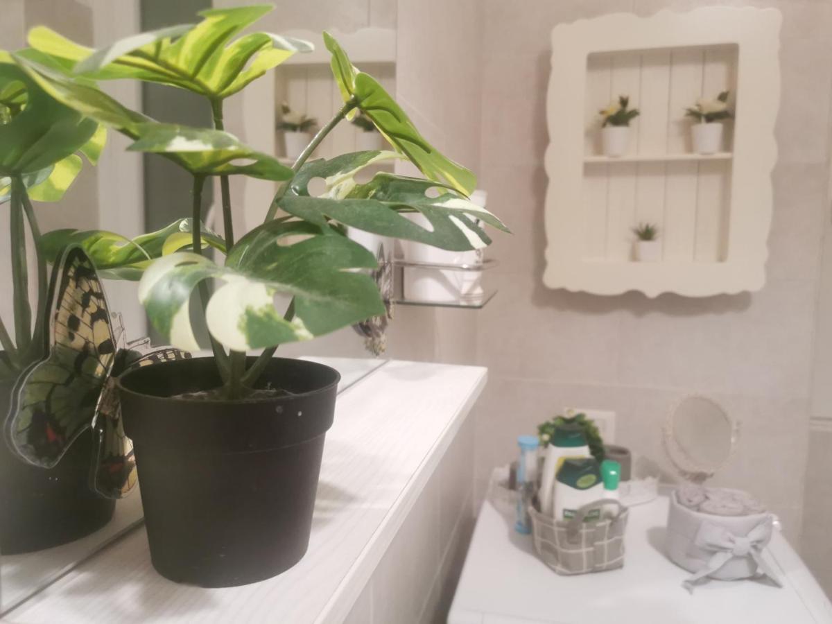 Apartament Domus Flavi Rzym Zewnętrze zdjęcie